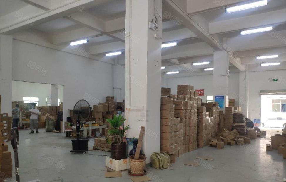 无杂费  厚街原房东出租一楼1200平厂房形象好空地大可分租