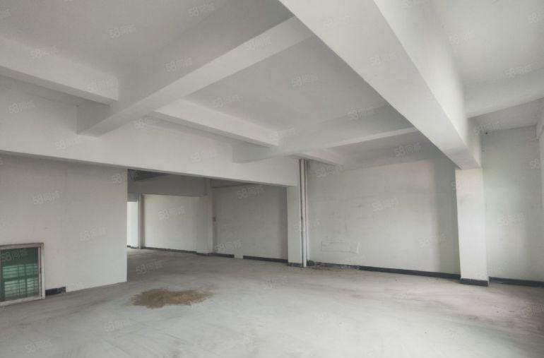 二楼带全新电梯厂房268平，可小加工仓库。