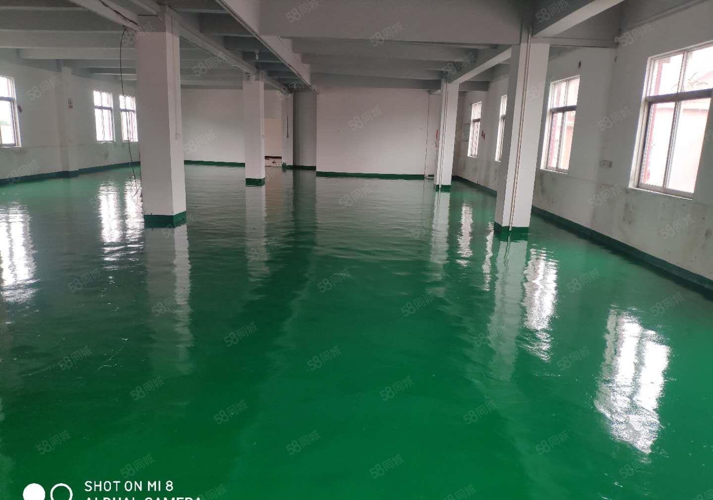 厚街新出原房东325平水电齐全精装修