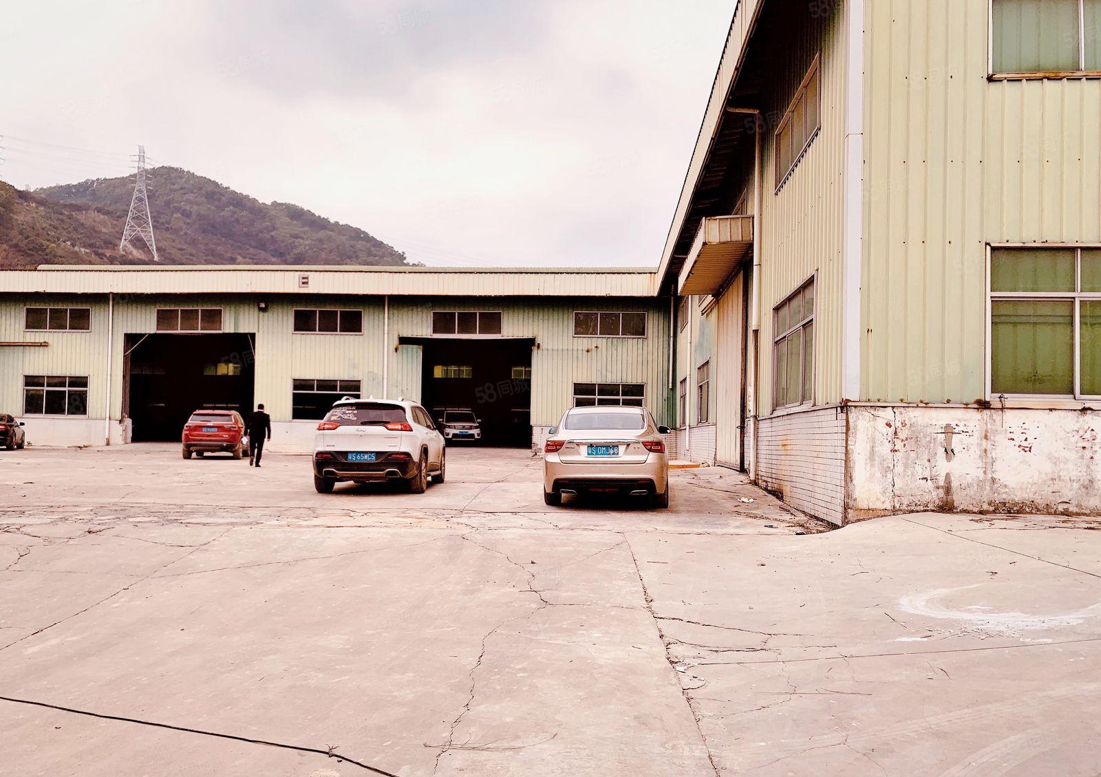 厚街4000方原房东单一层钢结构 滴水9米