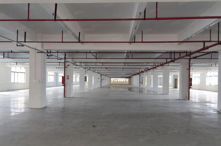 地铁口独门独院厂房20000平低价出租形象好空地大交通方便