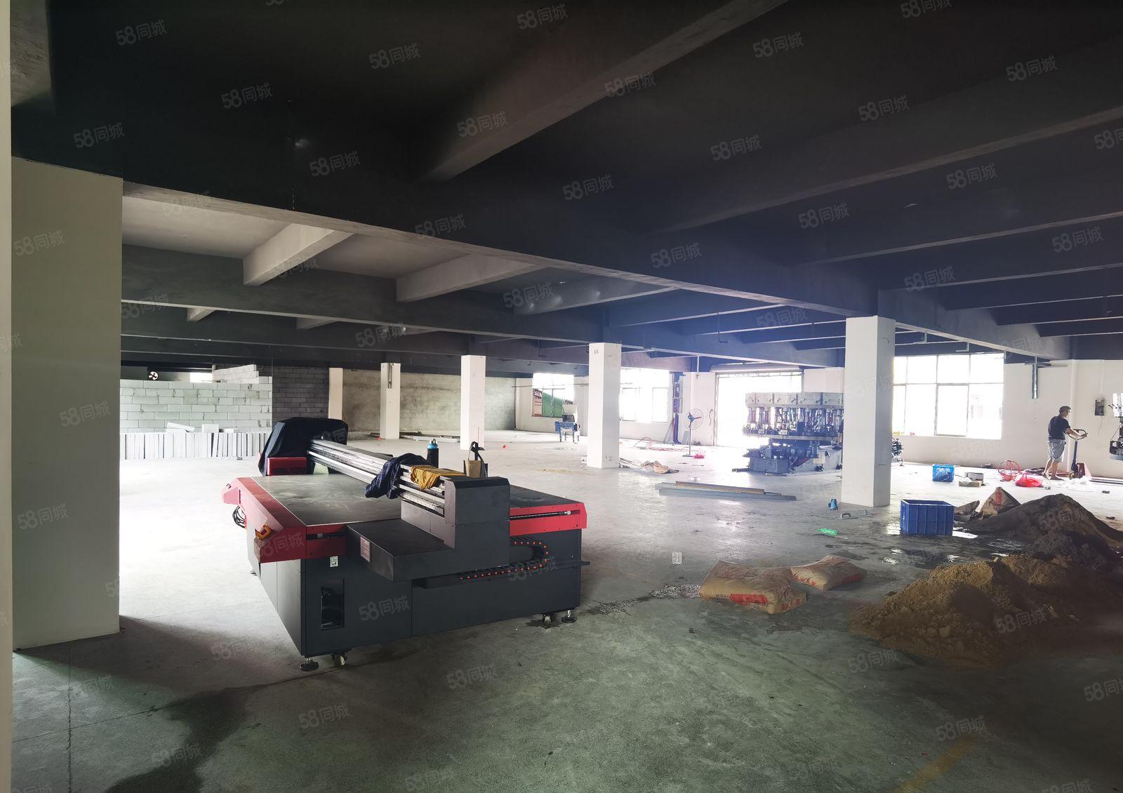 厚街涌口新出花园式厂房13500平方，可分租交通方便