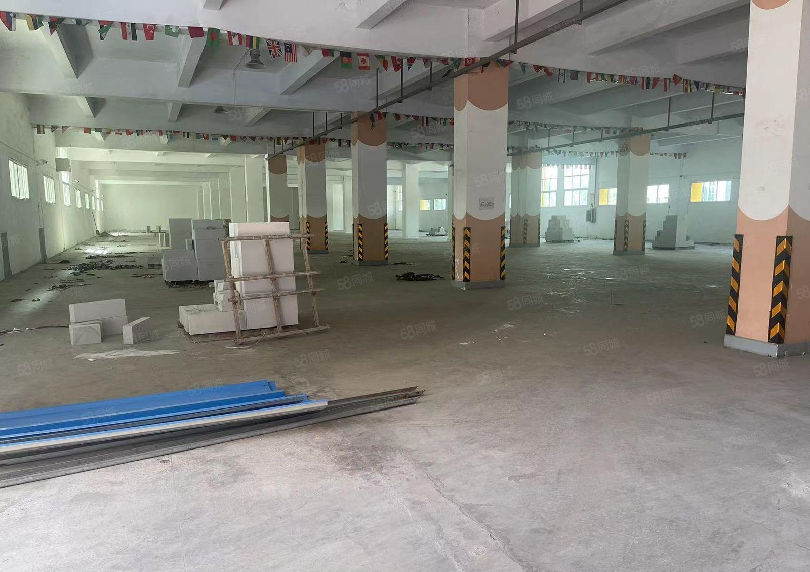 厚街新出标准楼房一楼2700平方层高6米带装修