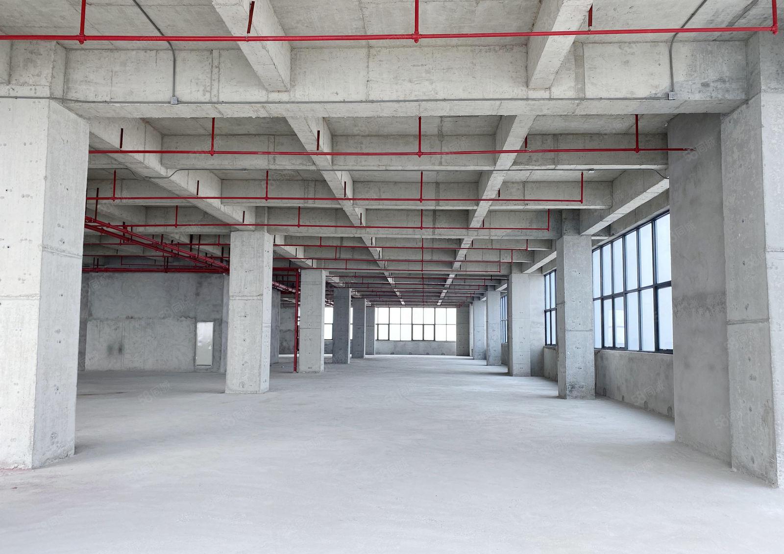 虎门高铁站附近新出独院厂房带停车位，可分租