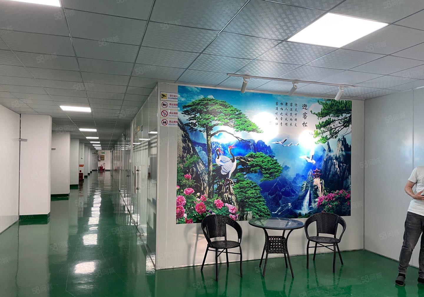 塘厦龙背岭无尘车间1500平厂房出租，无需转让费，！