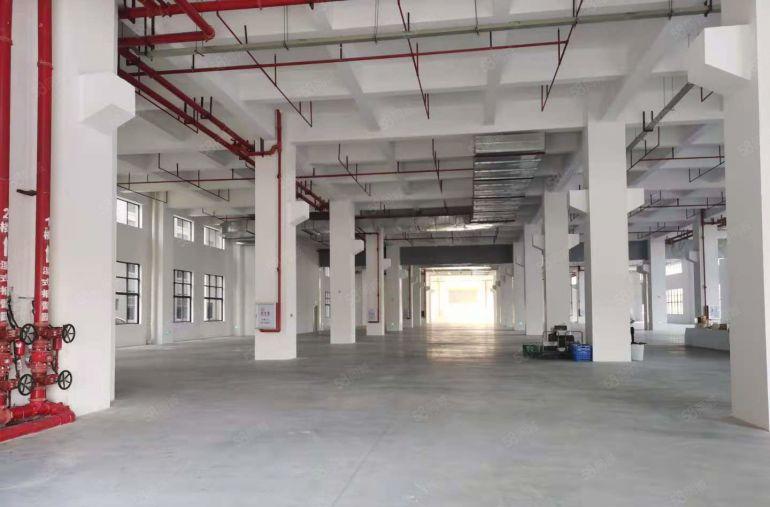 塘厦科苑城新出原房东50000平独门独院厂房仓库出租,可分租