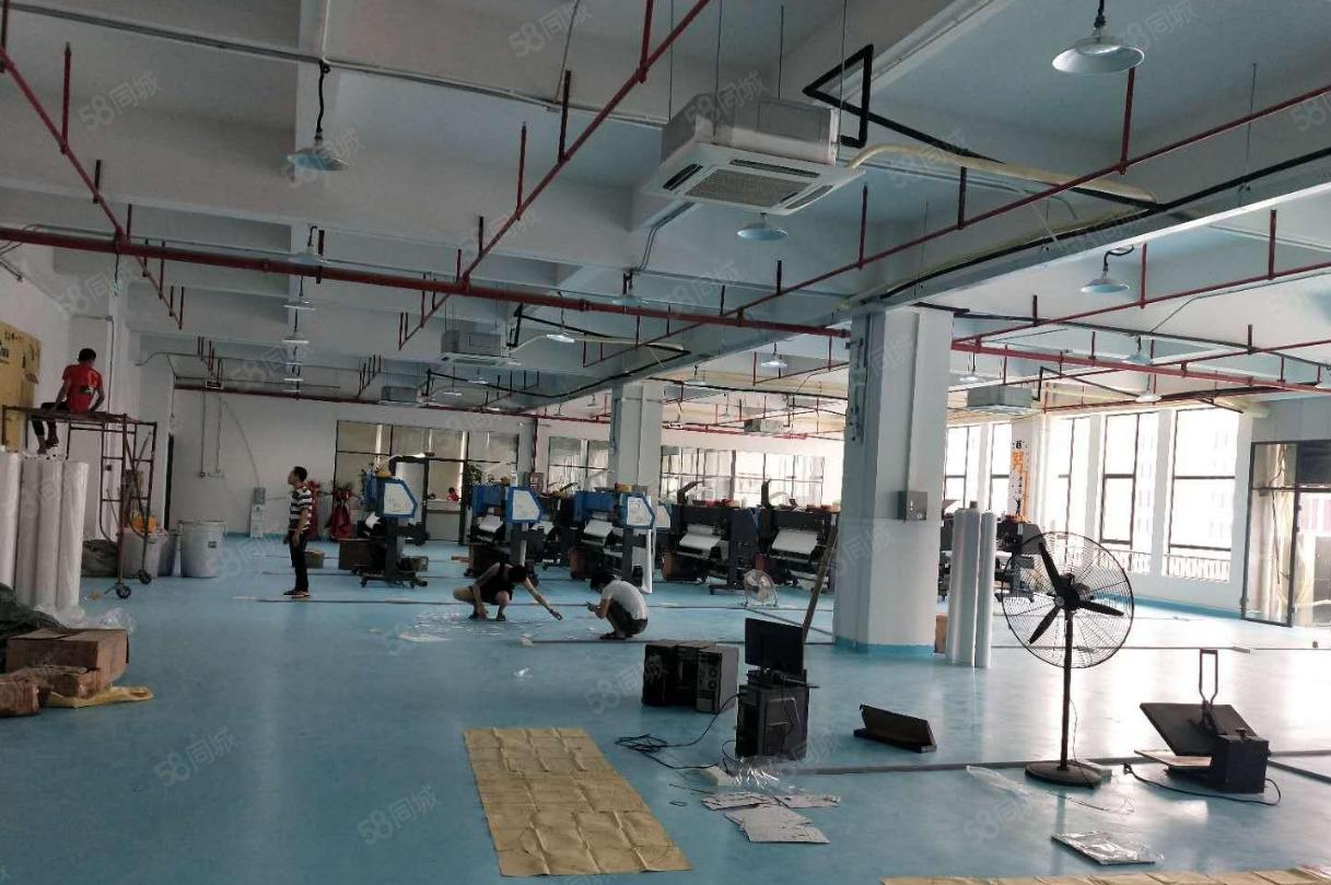 塘厦田心大型工业区小面积厂房 靠近两个高速出入口