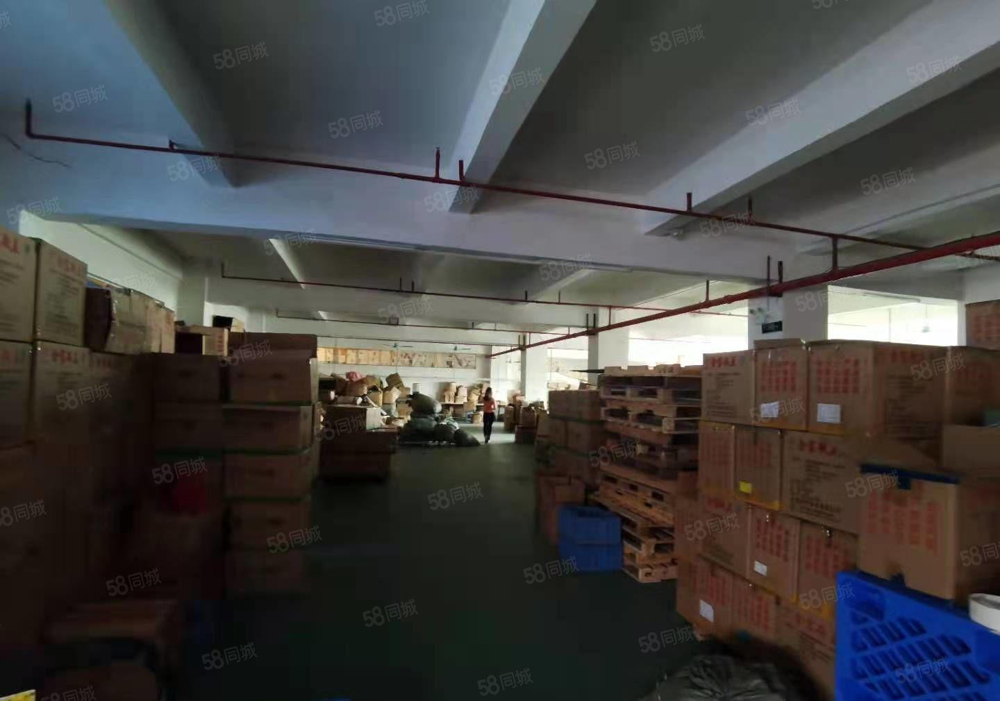 厂房出租   带装修三楼1200平米四楼890平米出租