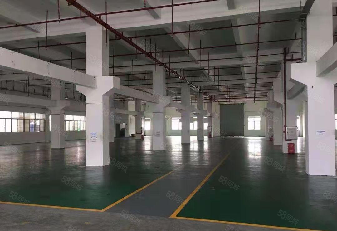 东莞塘厦四村新出标准厂房12000平方出租