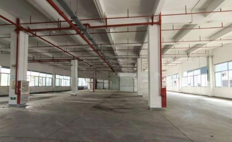 塘厦四村新出原房东独栋10000平方红本厂房，零公摊！！