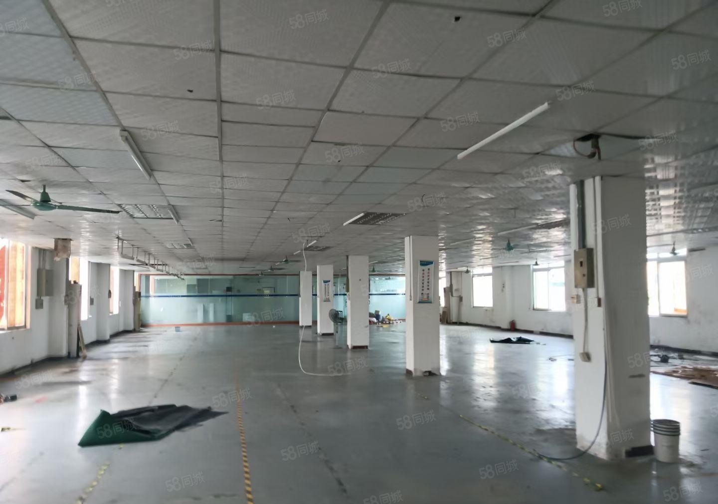 塘厦新出上带装修厂房，可以分租，可接受电池