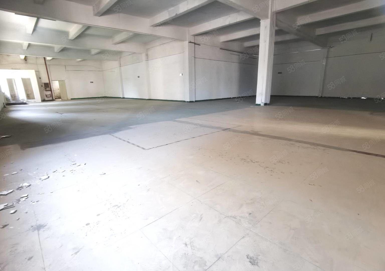 塘厦新出原房东厂房2650平，园区空地大，停车位充足