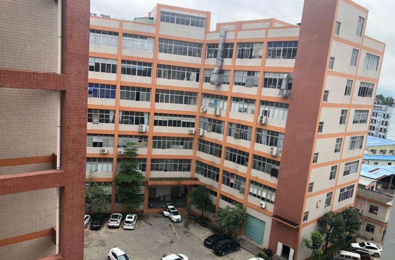 塘厦新出豪华装修1200平方原房东红本厂房