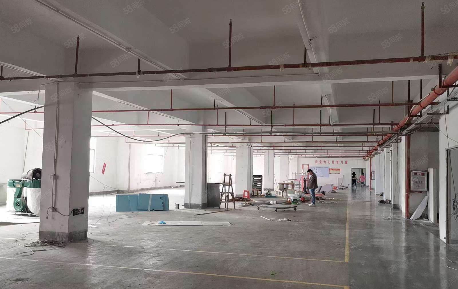 塘厦沙湖近深圳观兰，楼上2500平厂房出租，精装修办公室，