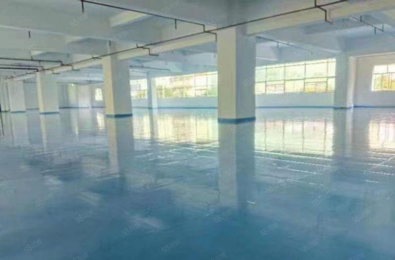 塘厦独门独栋9.9元每平，空地大，交通好！