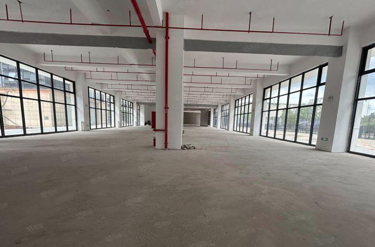 塘厦沙湖全新厂房1楼1300平方，层高8米，消防设施配套齐全