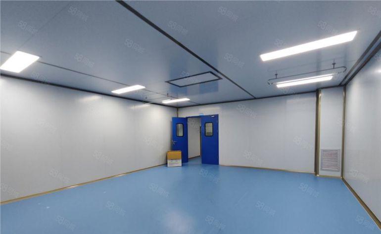 塘厦新空全新医用千级无尘车间，精装修无转让费低价出租空地大