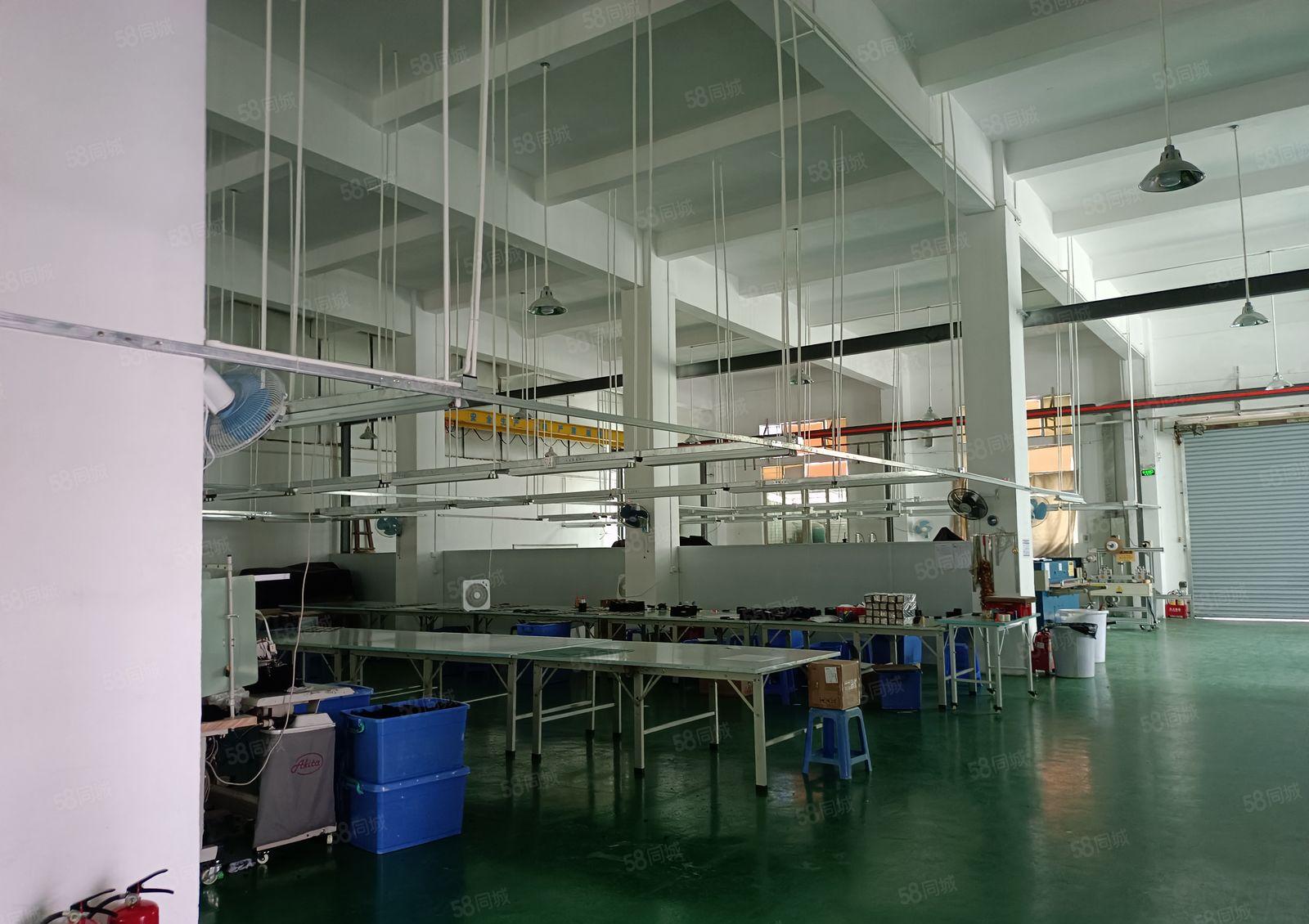 塘厦林村新出标准一楼1000平带大气前台，现成办公室，水电齐