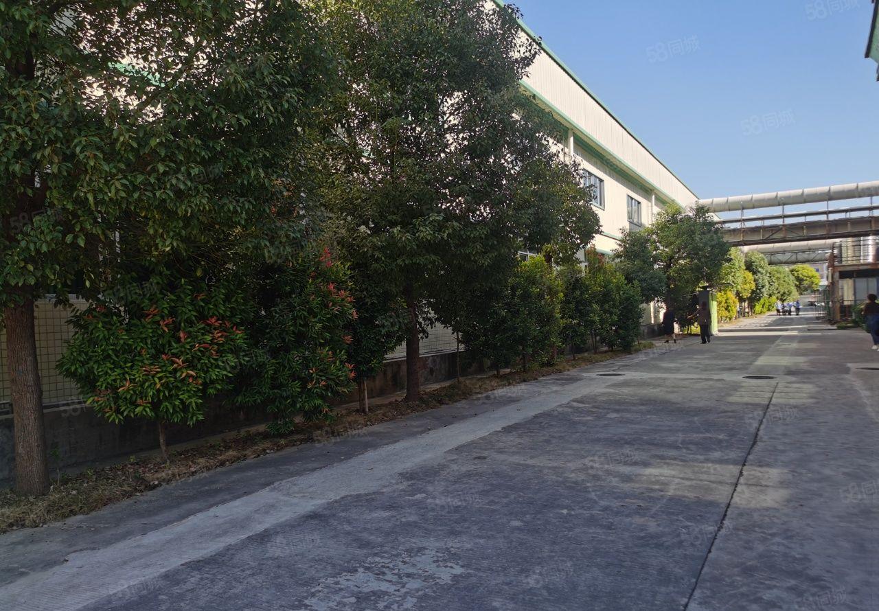 塘厦镇诸佛岭新出独院厂房4650出租可分租