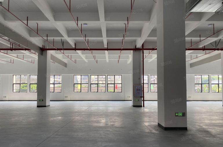 厂房出租1000平起租，大坪高速口，省心放心安心，速来！