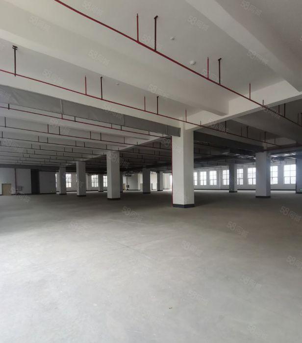 塘厦沙湖科苑城靠近观澜，新建园区独栋4万6平方厂房出租