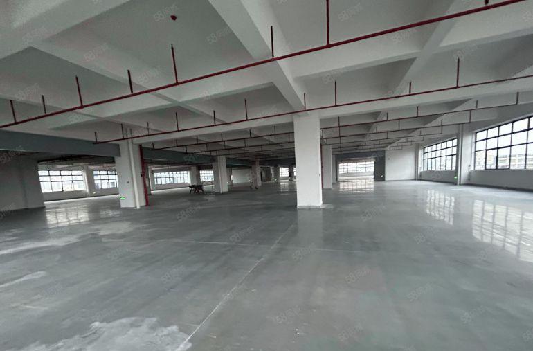 塘厦平山全新标准6楼2550平方，消防喷淋齐全，主线到车间！