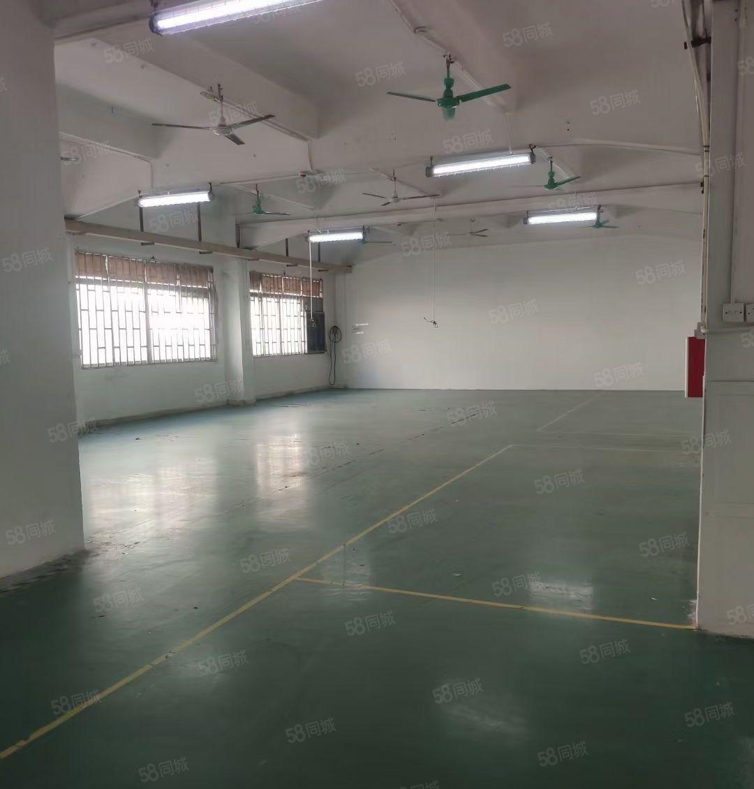 塘厦龙背岭刚空出楼上标准厂房600平，实际面积出租独院近高速