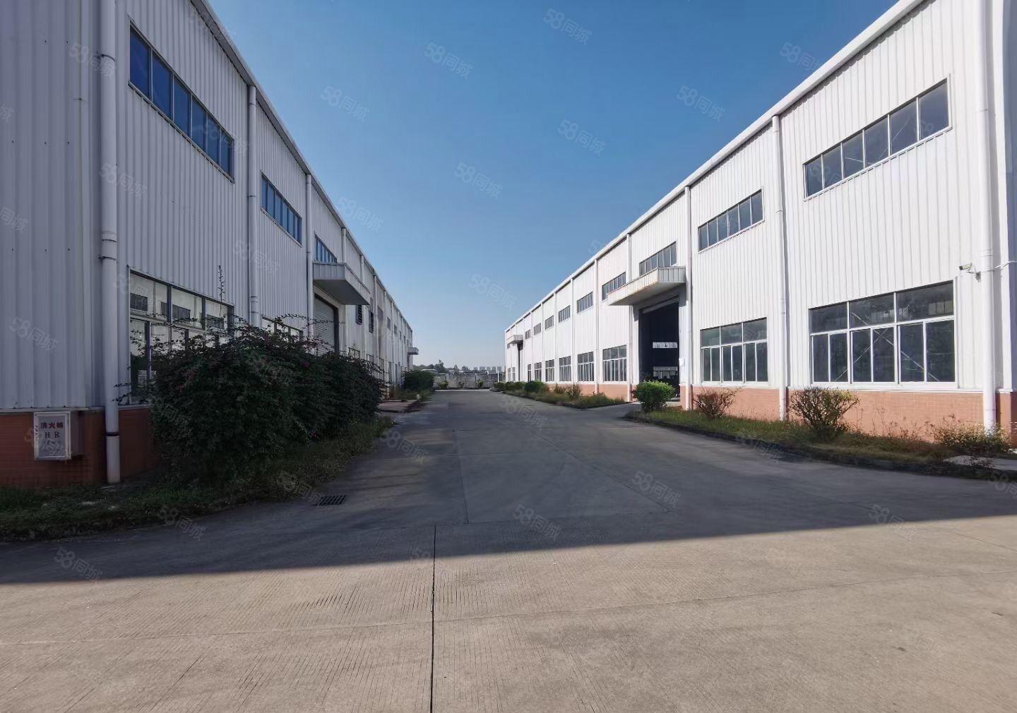 塘厦桥陇东深二线边独院单一层22000平方可分租