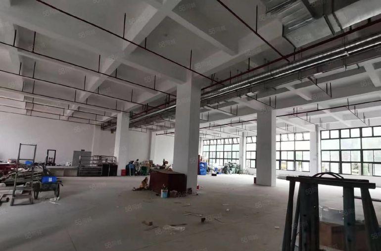 原房东红本厂房，塘厦大坪高速出口旁，全新厂房6300平可分租