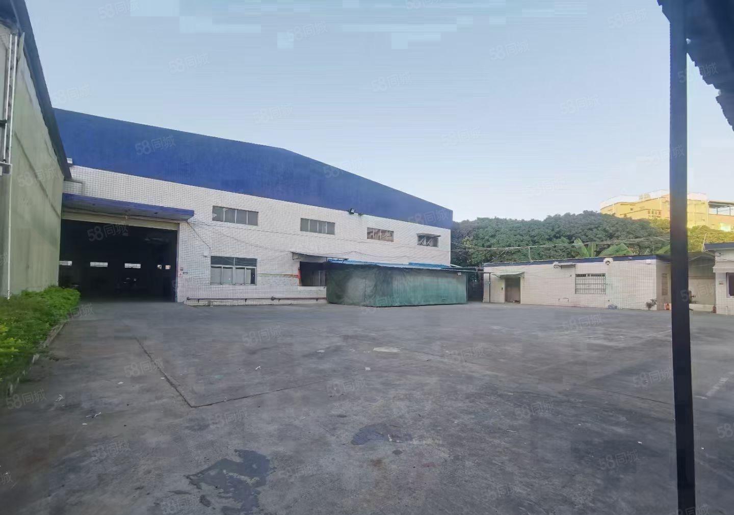 塘厦新独院钢构厂房 进车方便 钢构12米高 形象佳