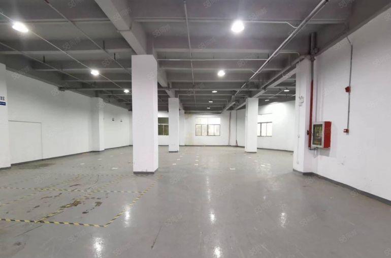 塘厦清湖头一楼厂房610平招租，现成水电到车间，园区大