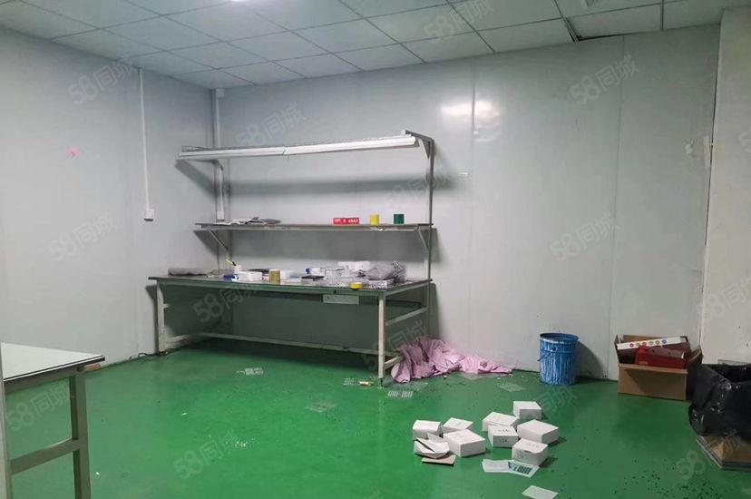 原房东 塘厦科苑城楼上2000平方带装修厂房仓库出租