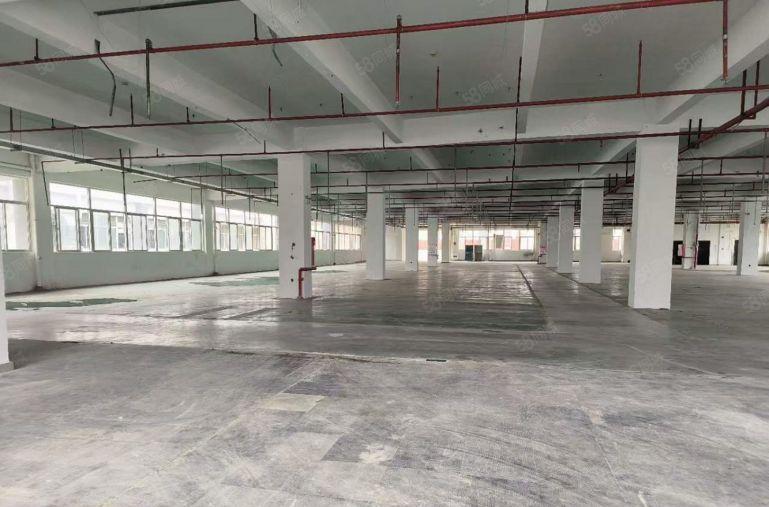 田心全新独院工业园出租标准厂房每层3000平宿舍饭堂配套齐全