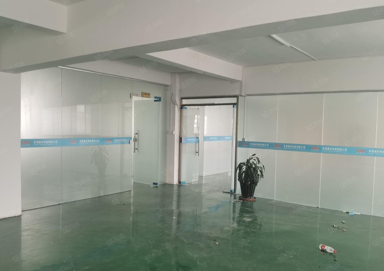 塘厦自带洁净车间 790平 0公滩 拎包即可生产 月租16元