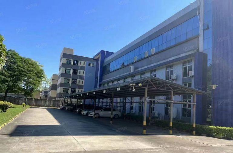 上市形象9元活动价塘厦1000平起分单层面积6666平出租