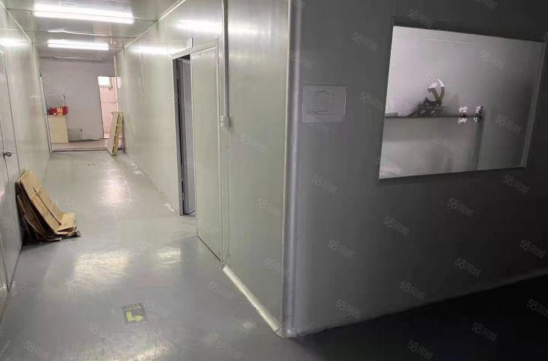 塘厦石马新出独院无尘车间厂房600平精装修，价格优惠出租！