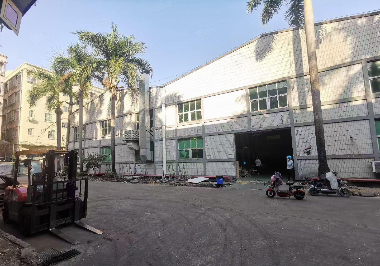 塘厦林村高速附近单一层钢构2520平滴水8米水电齐全拎包生产