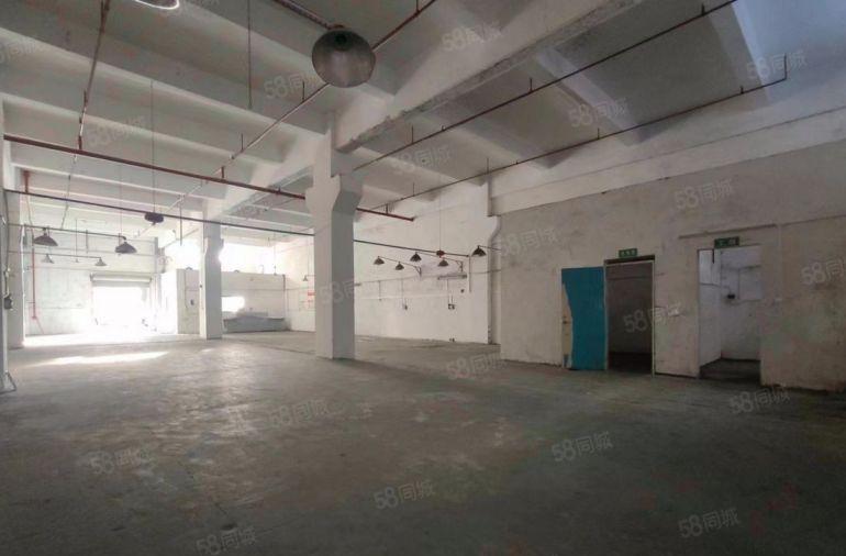 厂房出租原房东一楼带牛角 适合机械五金模具注塑家具组装