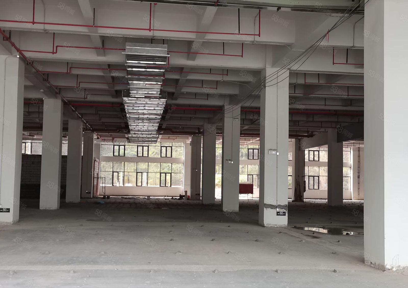 电商客户仓库客户看过来单层13000平米5部电梯全新带喷淋