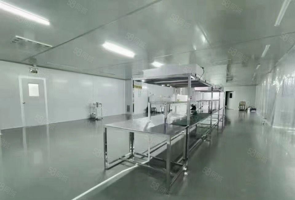 塘厦原房东花园式厂房 面积实在 空地大