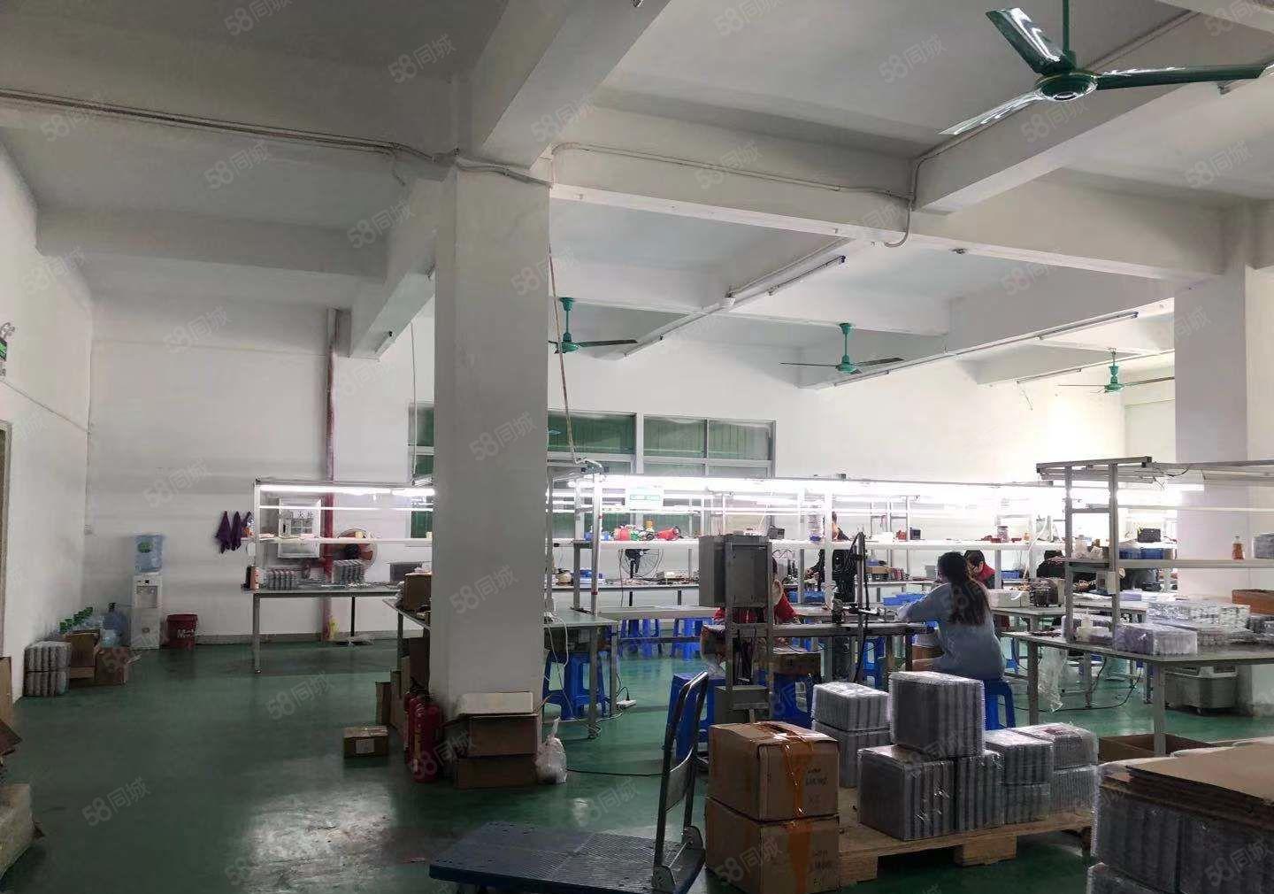 报价20元现成装修，随时可以空出，石鼓新出楼上480平方厂房