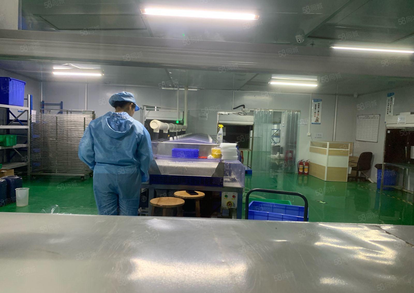 塘厦中心区无尘车间出租 ，一楼1680平呀，有排水环评证