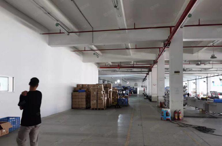 原房东！塘厦石鼓独院5000平实际面积低价厂房仓库出租