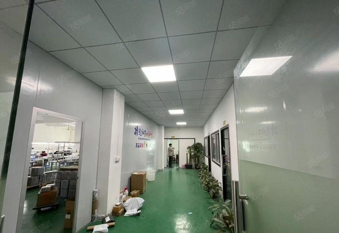 塘厦镇石鼓新出楼上480平米标准厂房出租