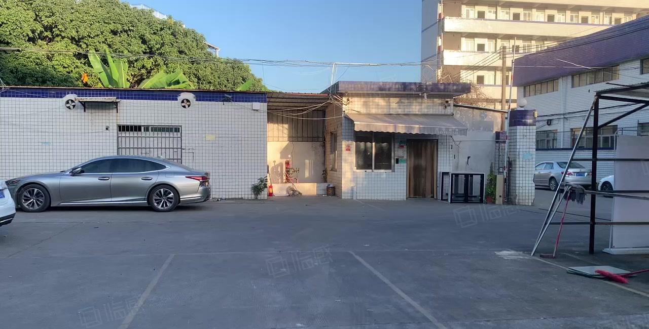 塘厦平山滴水12米高标准钢构独门独院6400平出租