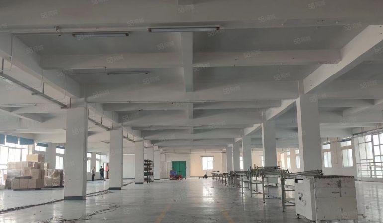 塘厦全新厂房一楼 门口进出大车随便停 欢迎实看