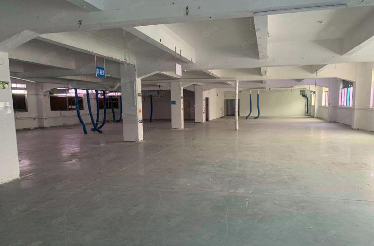 塘厦沙湖经典小独院4800厂房13层3000钢结构1楼