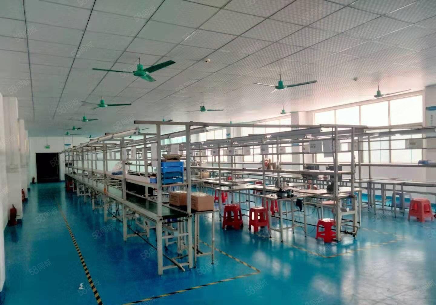 塘厦镇田心现成装修楼上800平方