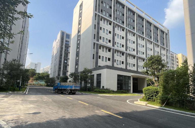 特价9.9塘厦凤凰岗新出高端工业园区现成装修1000大小可租