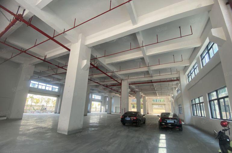 塘厦独院一楼1400平仓库厂房出租，带牛角位不限行业可进大车